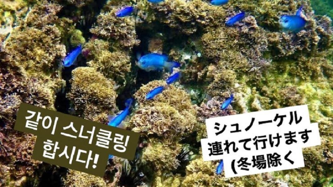 Plage Yuigahama Kamakura Ngoại thất bức ảnh
