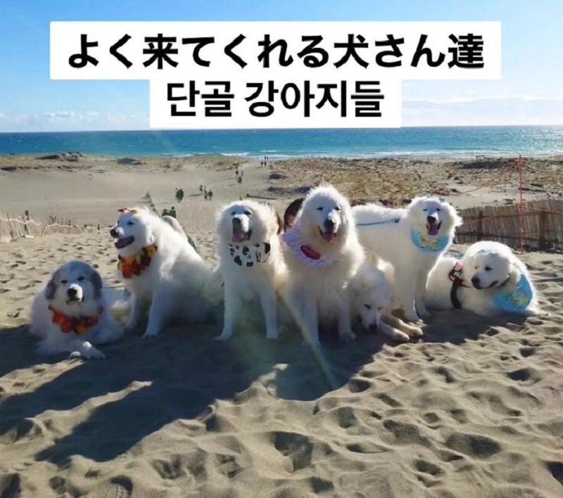 Plage Yuigahama Kamakura Ngoại thất bức ảnh