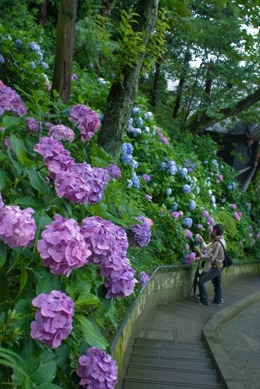 Plage Yuigahama Kamakura Ngoại thất bức ảnh
